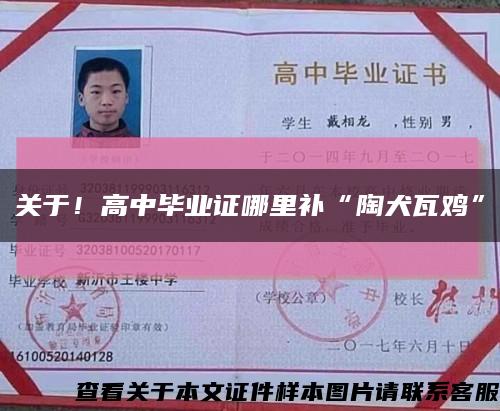 关于！高中毕业证哪里补“陶犬瓦鸡”缩略图