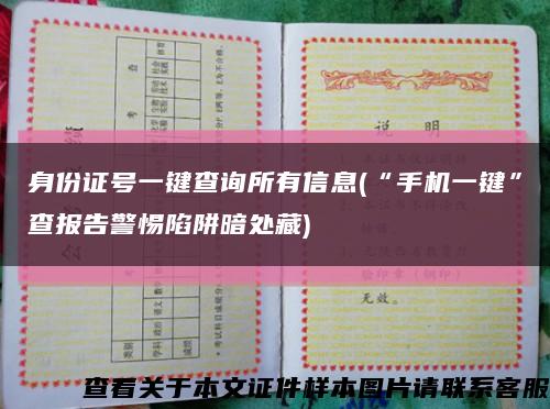 身份证号一键查询所有信息(“手机一键”查报告警惕陷阱暗处藏)缩略图