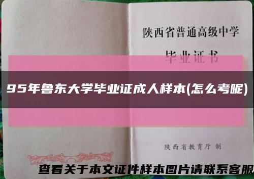 95年鲁东大学毕业证成人样本(怎么考呢)缩略图