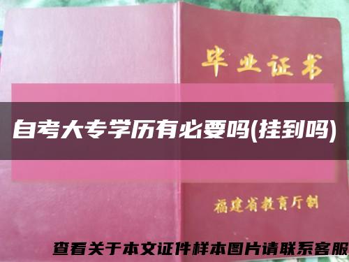 自考大专学历有必要吗(挂到吗)缩略图