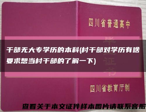 干部无大专学历的本科(村干部对学历有啥要求想当村干部的了解一下)缩略图