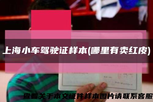 上海小车驾驶证样本(哪里有卖红皮)缩略图
