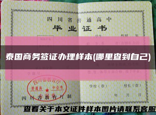 泰国商务签证办理样本(哪里查到自己)缩略图