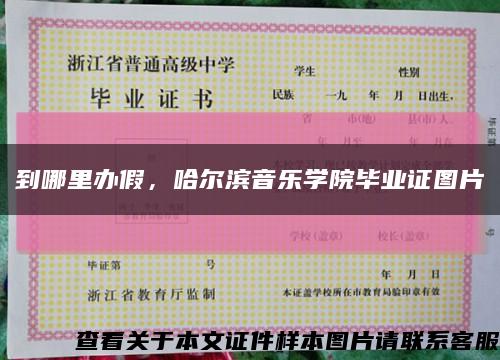 到哪里办假，哈尔滨音乐学院毕业证图片缩略图