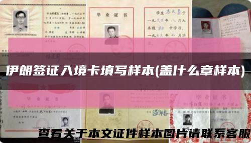 伊朗签证入境卡填写样本(盖什么章样本)缩略图