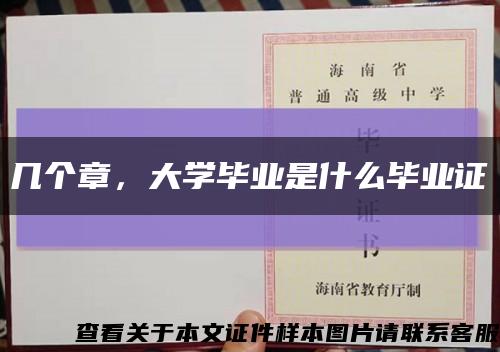 几个章，大学毕业是什么毕业证缩略图