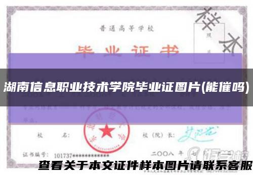 湖南信息职业技术学院毕业证图片(能催吗)缩略图