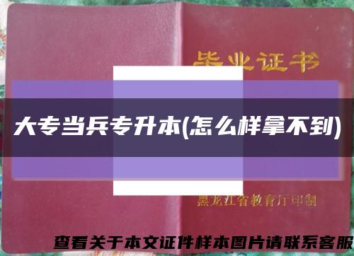 大专当兵专升本(怎么样拿不到)缩略图