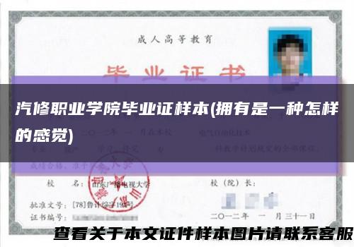 汽修职业学院毕业证样本(拥有是一种怎样的感觉)缩略图