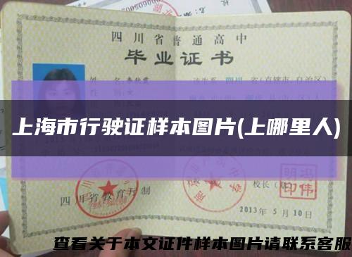 上海市行驶证样本图片(上哪里人)缩略图