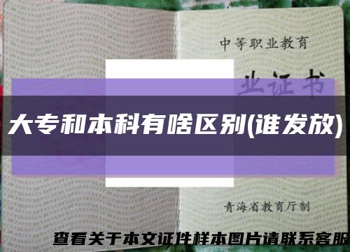 大专和本科有啥区别(谁发放)缩略图