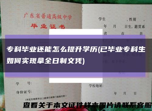 专科毕业还能怎么提升学历(已毕业专科生如何实现拿全日制文凭)缩略图