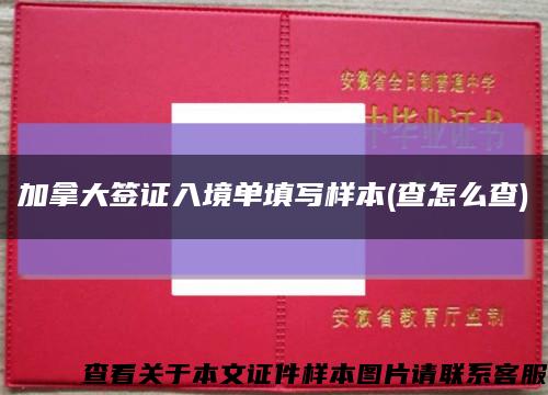 加拿大签证入境单填写样本(查怎么查)缩略图