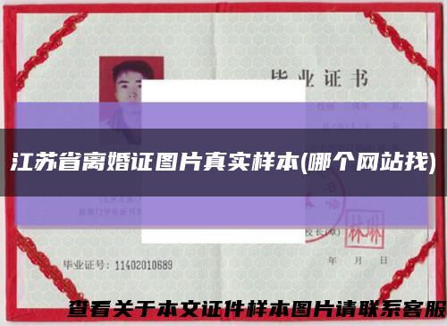 江苏省离婚证图片真实样本(哪个网站找)缩略图