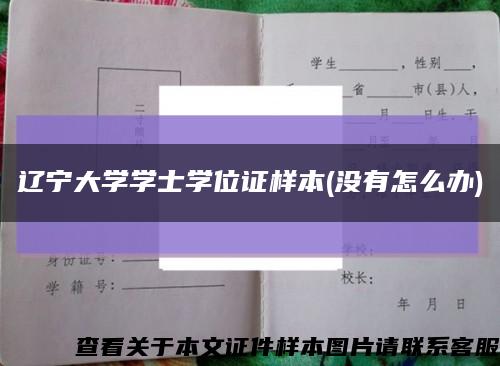 辽宁大学学士学位证样本(没有怎么办)缩略图