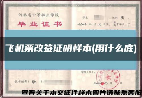 飞机票改签证明样本(用什么底)缩略图