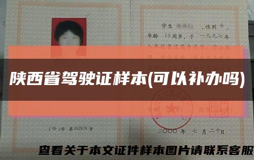 陕西省驾驶证样本(可以补办吗)缩略图