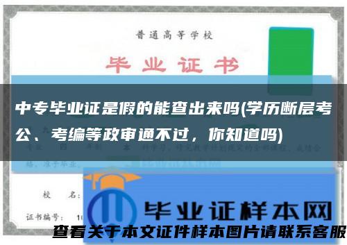 中专毕业证是假的能查出来吗(学历断层考公、考编等政审通不过，你知道吗)缩略图