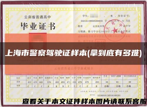 上海市警察驾驶证样本(拿到底有多难)缩略图