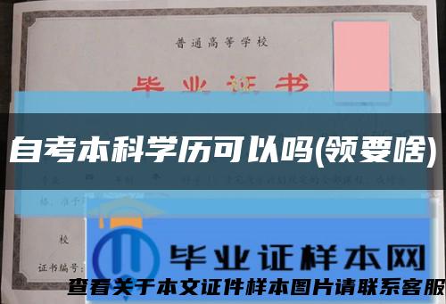 自考本科学历可以吗(领要啥)缩略图
