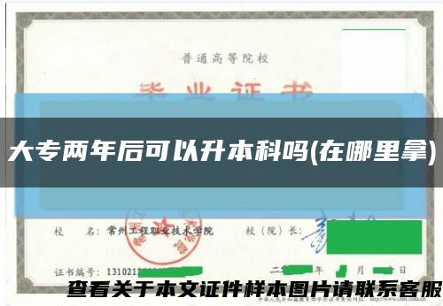 大专两年后可以升本科吗(在哪里拿)缩略图