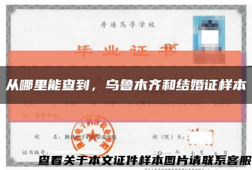 从哪里能查到，乌鲁木齐和结婚证样本缩略图