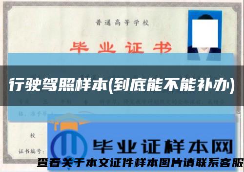 行驶驾照样本(到底能不能补办)缩略图