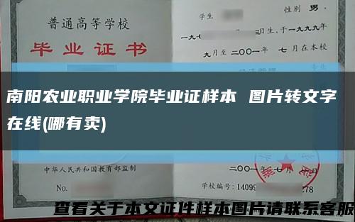 南阳农业职业学院毕业证样本 图片转文字 在线(哪有卖)缩略图