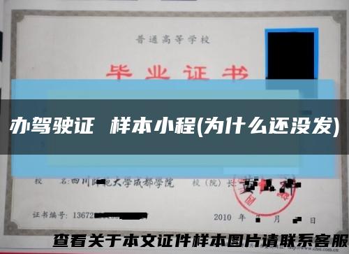 办驾驶证 样本小程(为什么还没发)缩略图