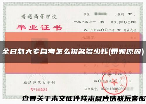 全日制大专自考怎么报名多少钱(带领原因)缩略图