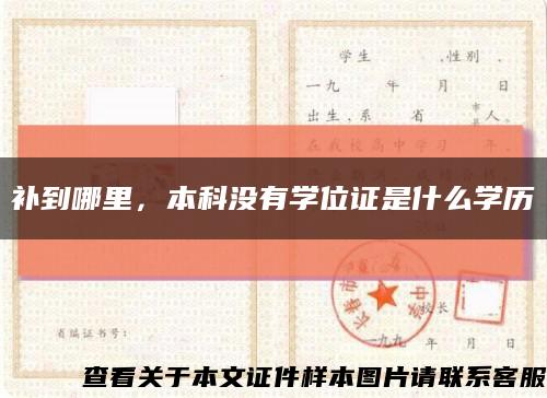 补到哪里，本科没有学位证是什么学历缩略图