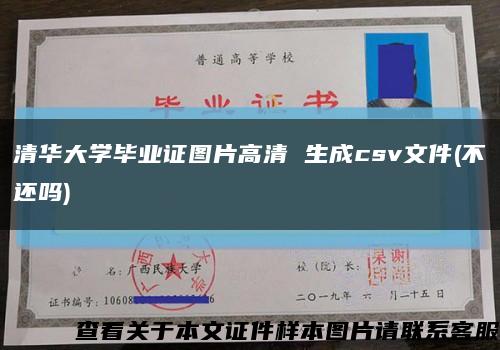 清华大学毕业证图片高清 生成csv文件(不还吗)缩略图