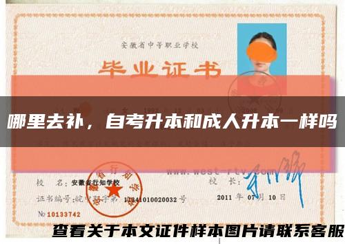 哪里去补，自考升本和成人升本一样吗缩略图