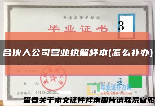 合伙人公司营业执照样本(怎么补办)缩略图