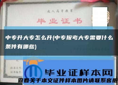 中专升大专怎么升(中专报考大专需要什么条件有哪些)缩略图