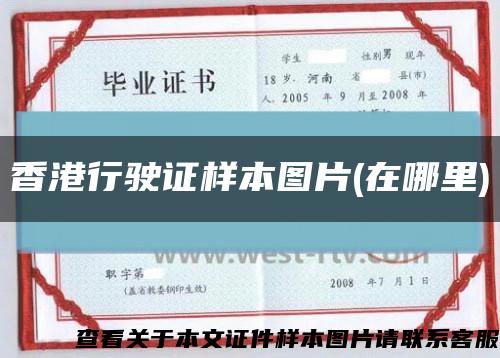 香港行驶证样本图片(在哪里)缩略图