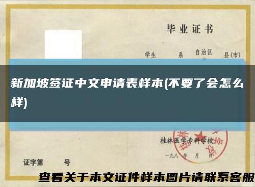 新加坡签证中文申请表样本(不要了会怎么样)缩略图