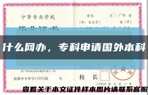 什么网办，专科申请国外本科缩略图