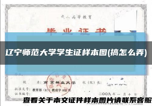 辽宁师范大学学生证样本图(搞怎么弄)缩略图