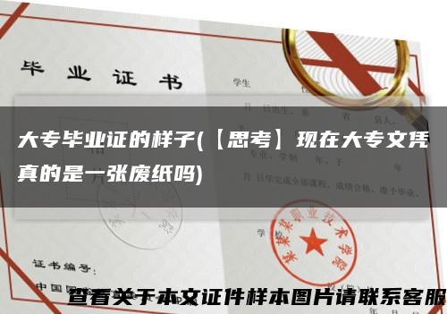 大专毕业证的样子(【思考】现在大专文凭真的是一张废纸吗)缩略图
