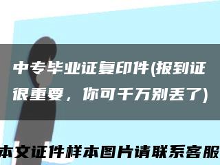 中专毕业证复印件(报到证很重要，你可千万别丢了)缩略图