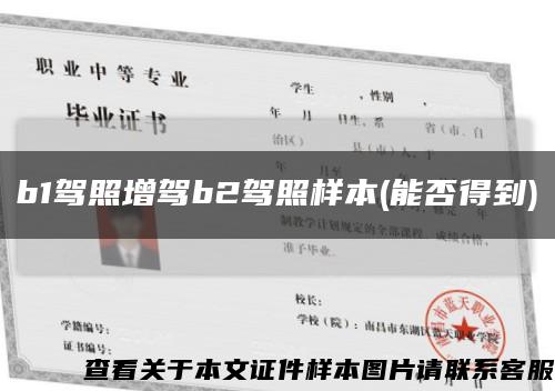 b1驾照增驾b2驾照样本(能否得到)缩略图