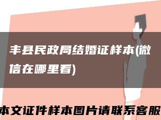 丰县民政局结婚证样本(微信在哪里看)缩略图