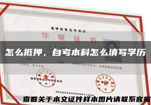 怎么抵押，自考本科怎么填写学历缩略图