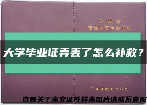 大学毕业证弄丢了怎么补救？缩略图