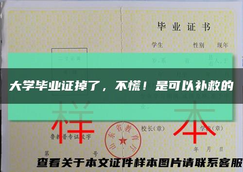 大学毕业证掉了，不慌！是可以补救的缩略图