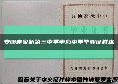 安阳崔家桥第三中学中海中学毕业证样本缩略图
