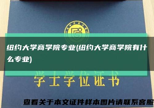 纽约大学商学院专业(纽约大学商学院有什么专业)缩略图