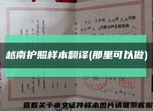 越南护照样本翻译(那里可以做)缩略图