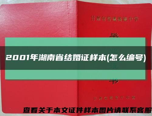 2001年湖南省结婚证样本(怎么编号)缩略图